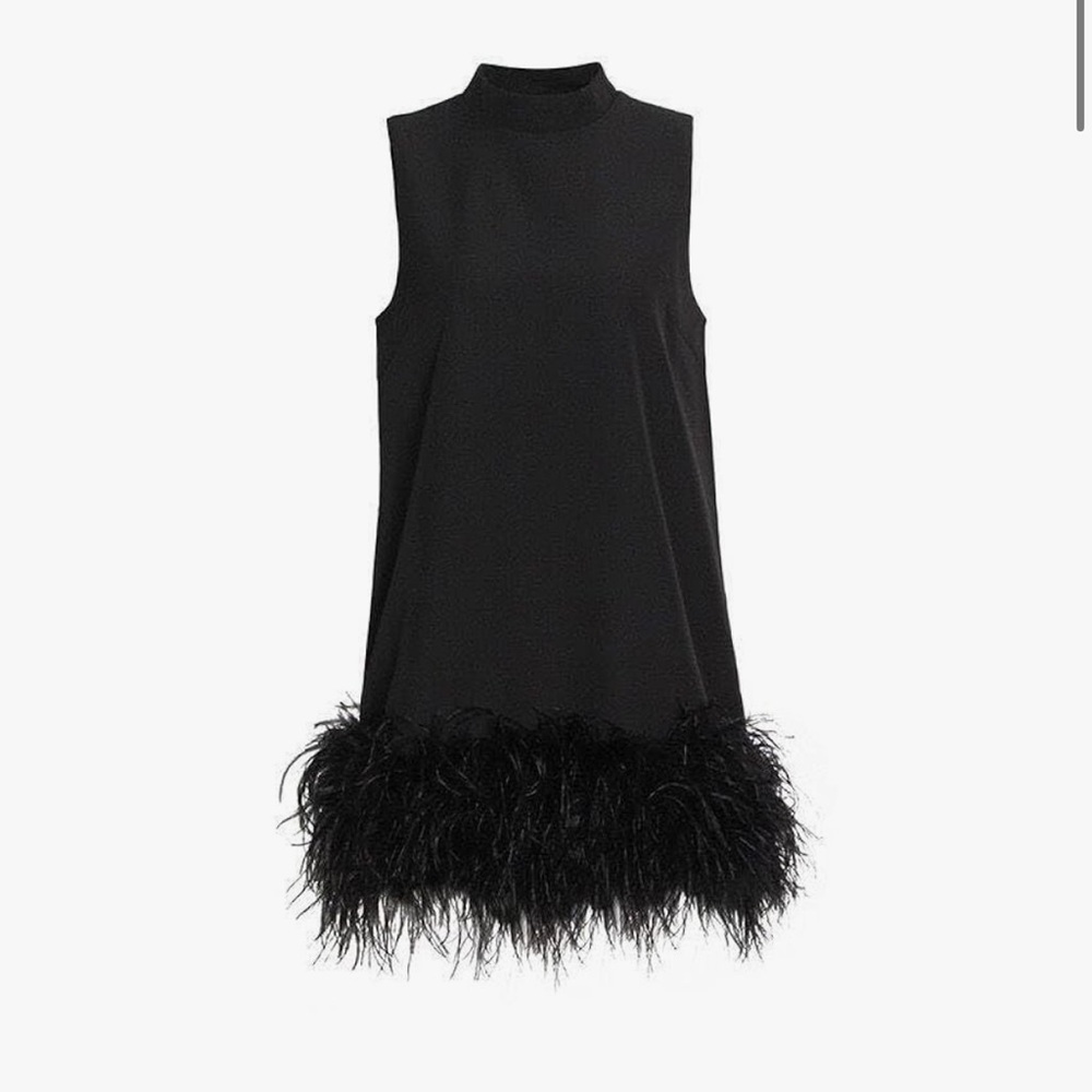 Elegant Black Feathered Dress